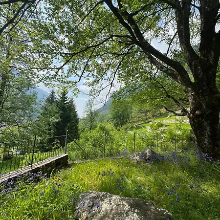 Private 3-story In Val Calanca, Holiday home Rossa