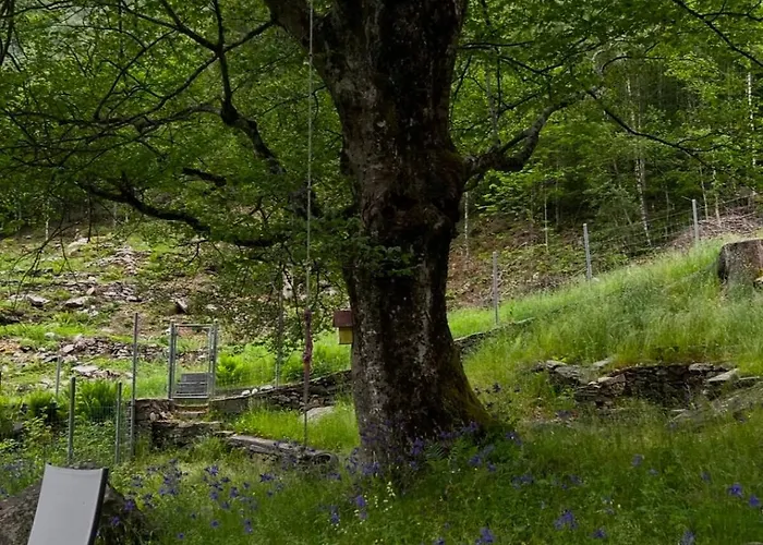 Private 3-story In Val Calanca, Rossa