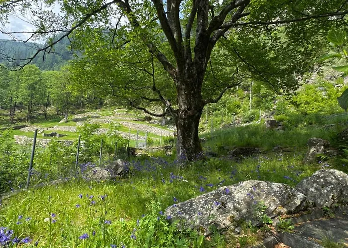 Private 3-story In Val Calanca,