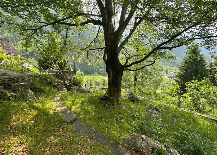 Feriehus Private 3-story In Val Calanca,