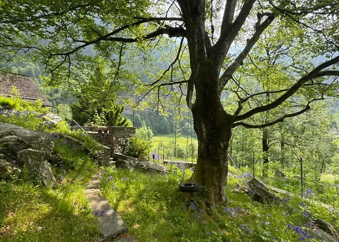 Private 3-story In Val Calanca, Feriehus *