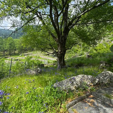 Private 3-story In Val Calanca,