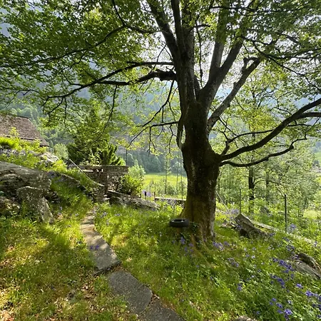 Private 3-story In Val Calanca, Feriehus *